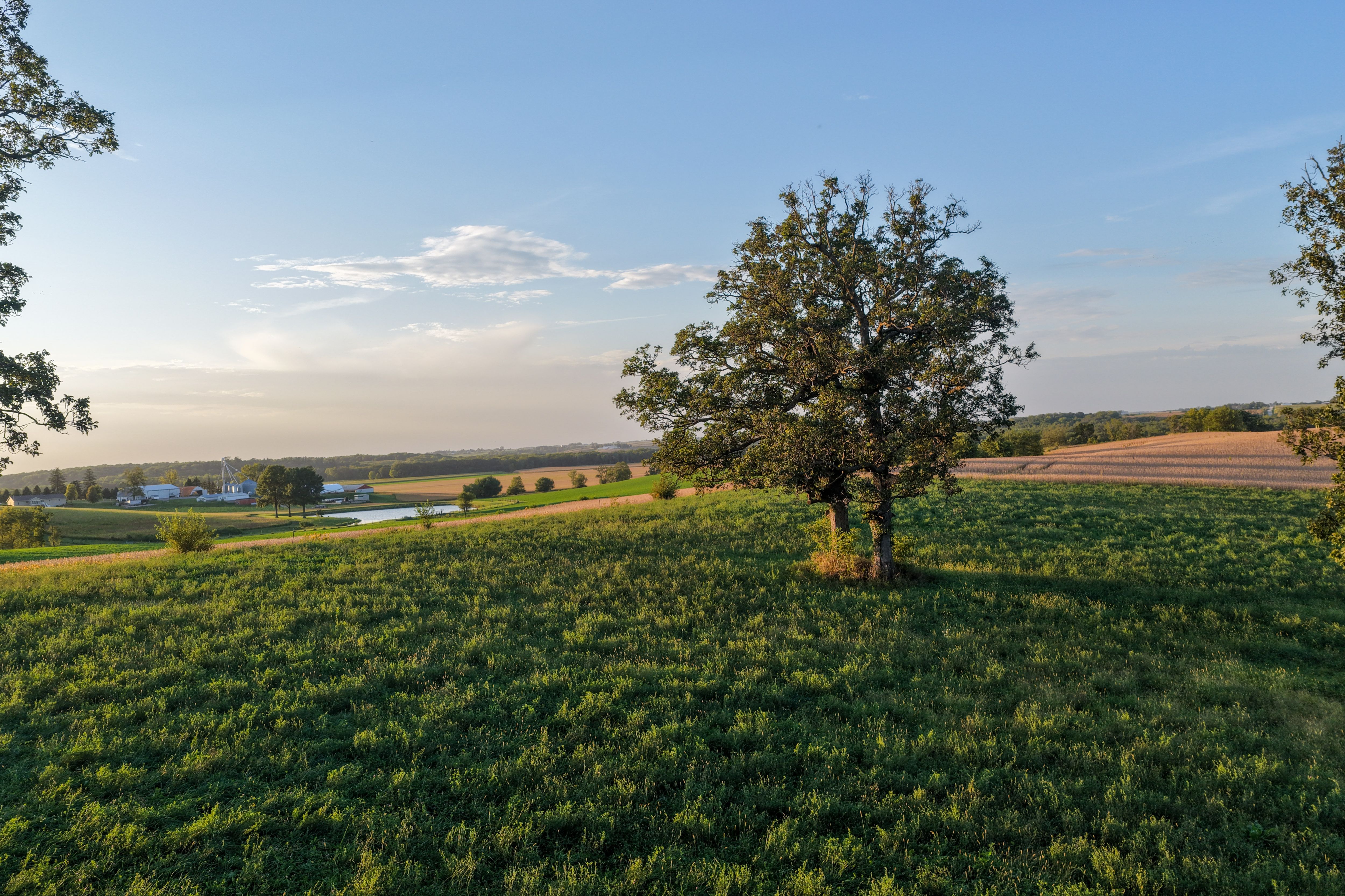 Listing Photo: 4 Acres Johnson County For Sale (2)